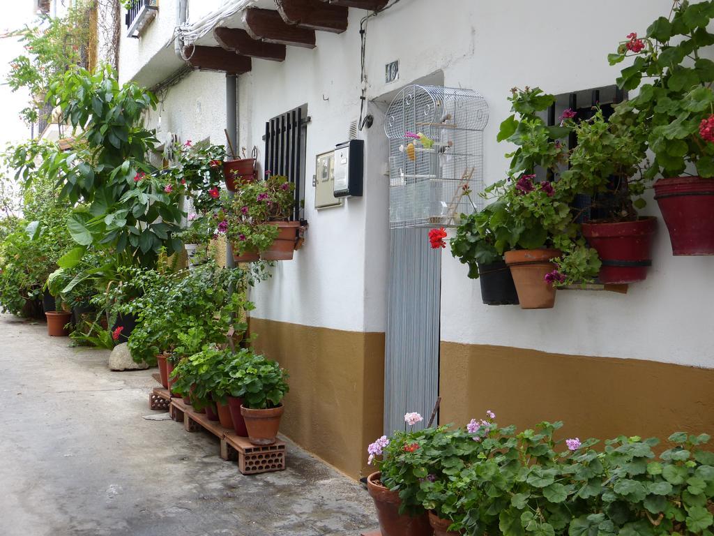 Casco Viejo Candeleda Exterior photo